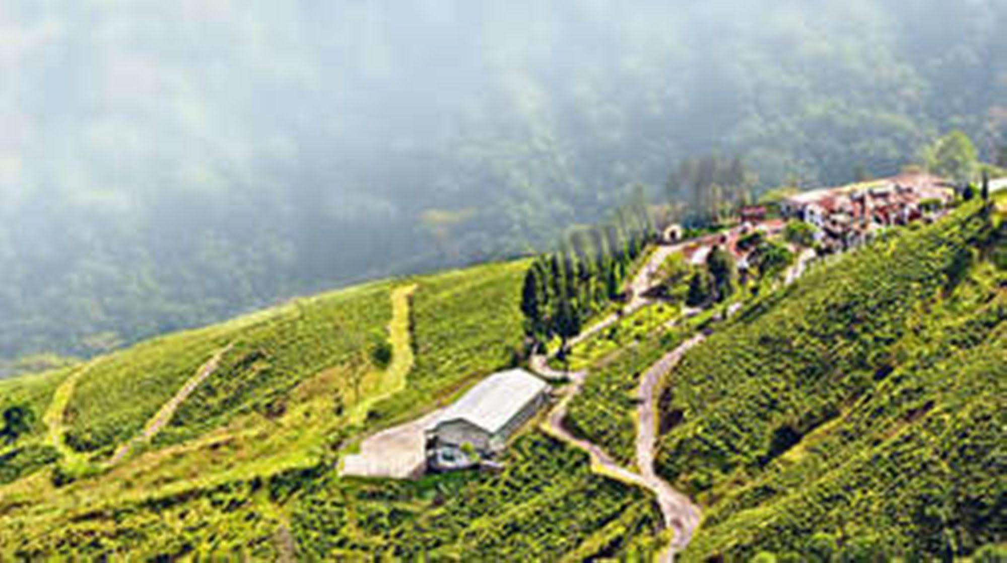 Central Nirvana Darjeeling  Exterior foto